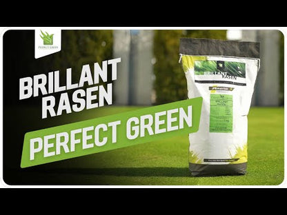 Perfect Green Brillant Rasen