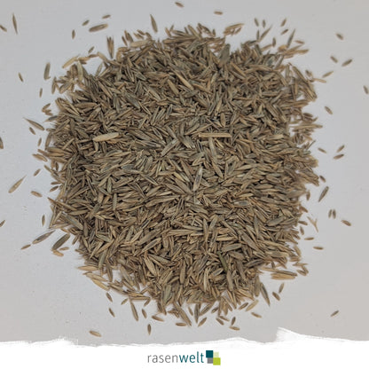 Fairway mit Poa Supina PS-21 20kg