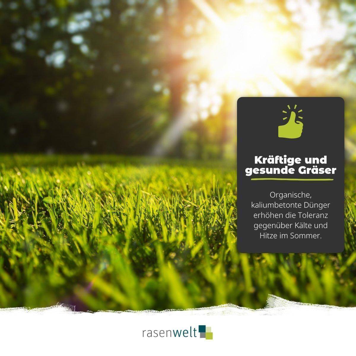 Bio Rasendünger Pro Natura Herbst - rasenwelt GmbH