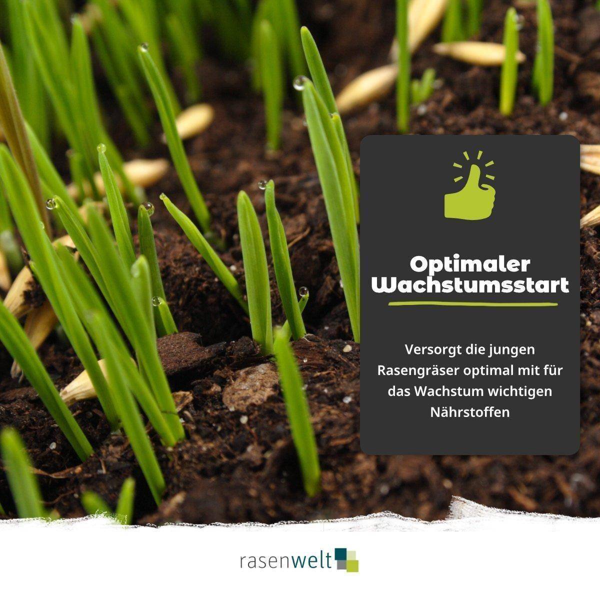Starterdünger ARENA Starter 10+15+10 20kg - rasenwelt GmbH