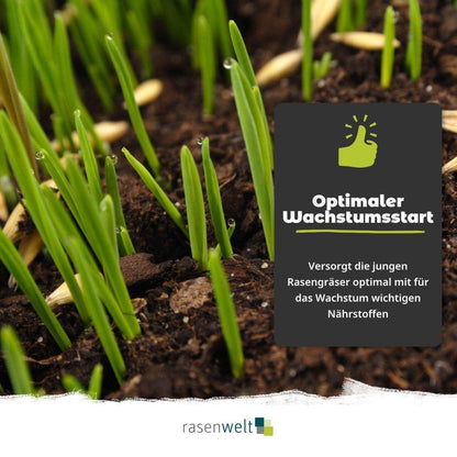 Starterdünger ARENA Starter 10+15+10 20kg - rasenwelt GmbH